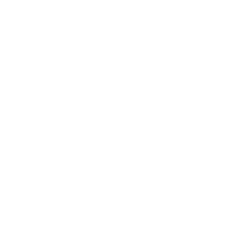 VICCI Germany Logo