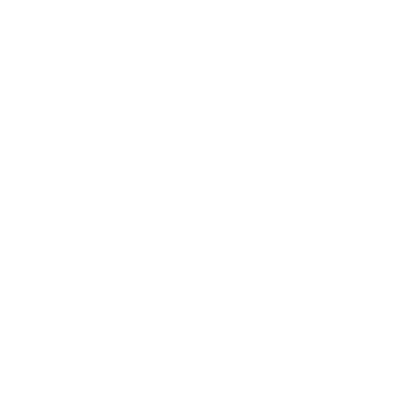 DR. BRINKMANN Logo
