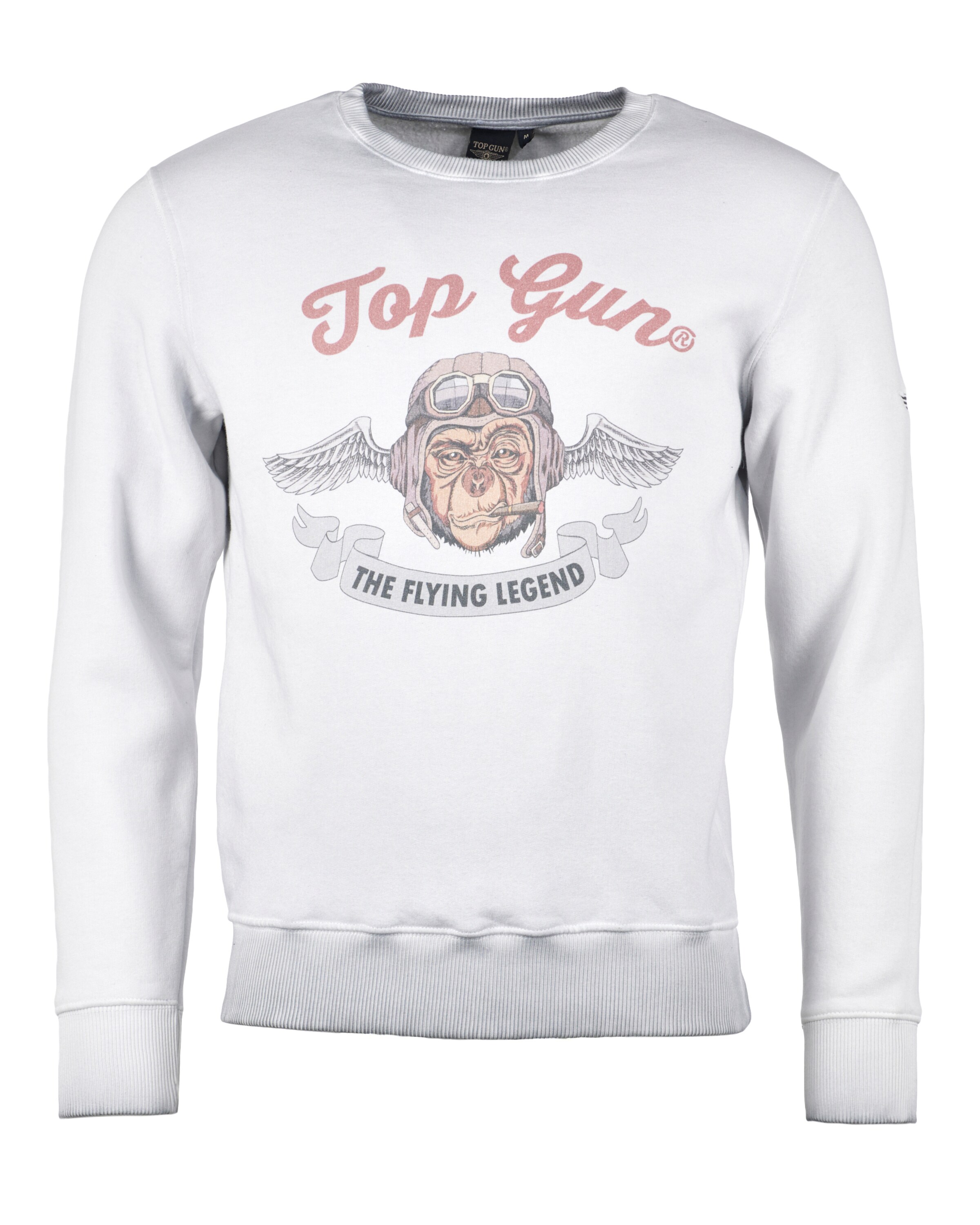 TOP GUN Sweatshirt 'Smoking Monkey' in Grey: front