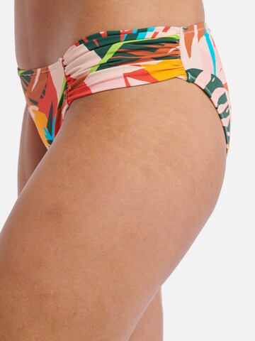 regular Pantaloncini per bikini 'Frangipani' di Shiwi in colori misti