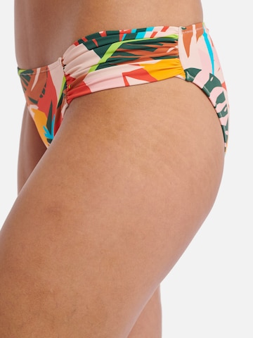 Shiwi Regular Bikinihousut 'Frangipani' värissä monivärinen