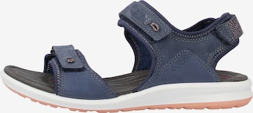 ECCO Sandale 'Cruise II' in Blau