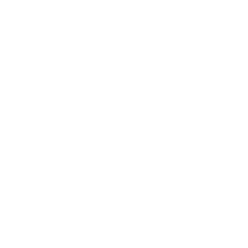 Salsa Jeans Logo