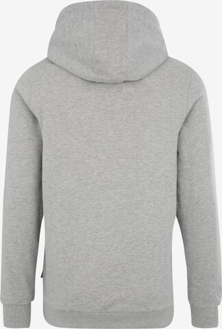 CHIEMSEE - Sweatshirt de desporto em cinzento: atrás