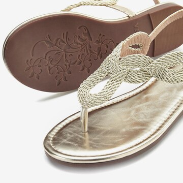 LASCANA Teenslipper in Goud