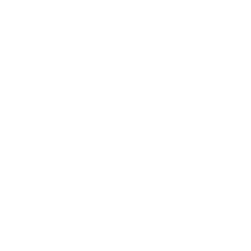 WHITE STUFF Logo