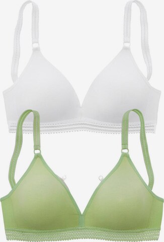 PETITE FLEUR Bra in Green: front