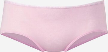 SCHIESSER Underpants in Mixed colors