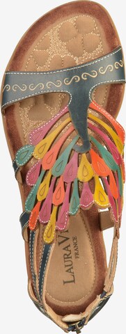 Laura Vita Sandals in Mixed colors