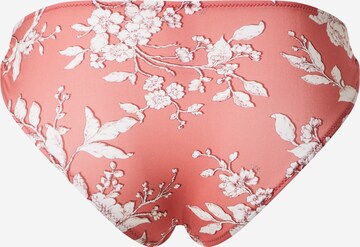 watercult Regular Bikinibroek in Rood