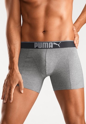 PUMA Boxer shorts in Grey: front
