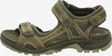 ECCO Sandalen in Groen: voorkant