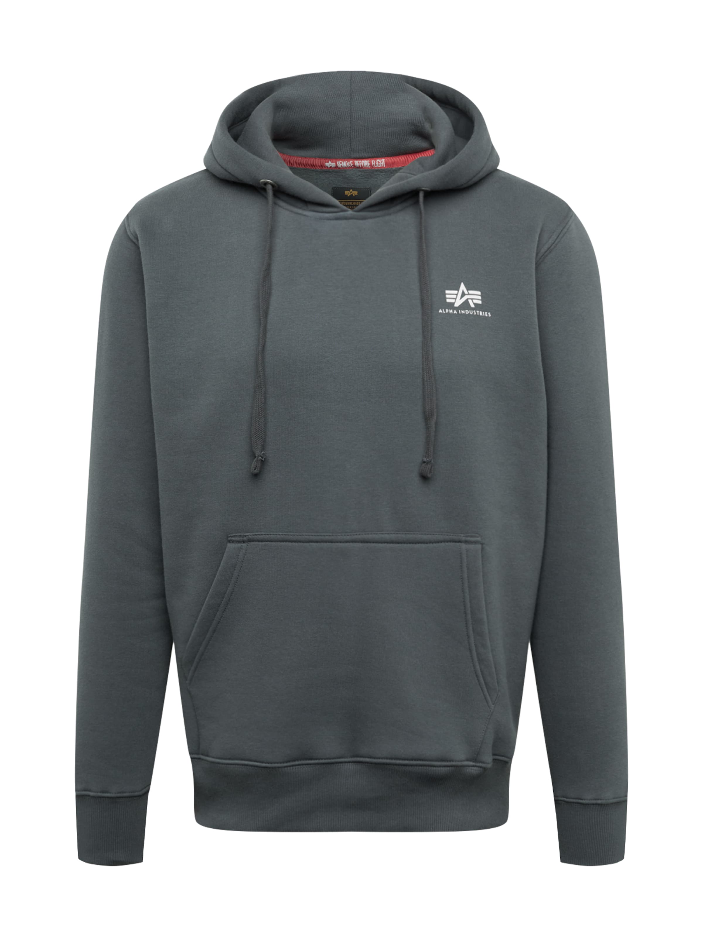Coupe regular Sweat-shirt ALPHA INDUSTRIES en gris : devant