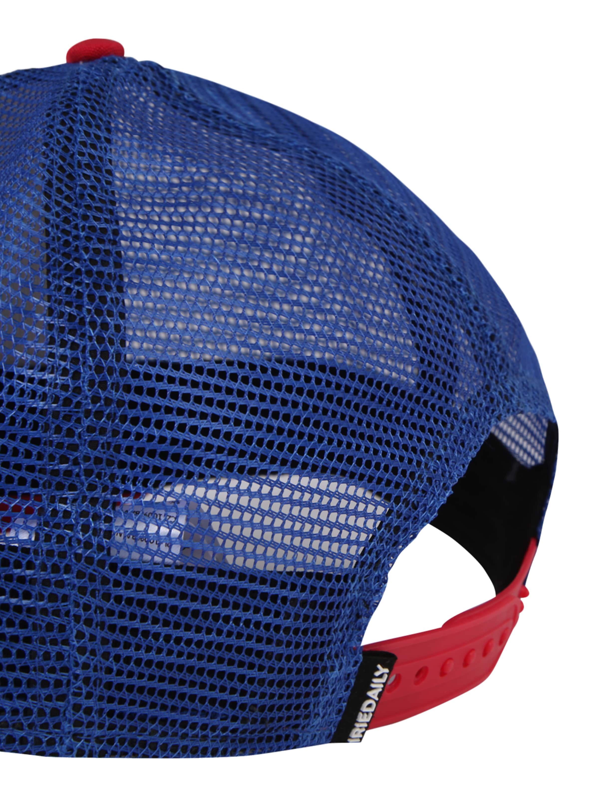 Iriedaily Cap 'Stonefinger' in Mischfarben