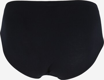 SCHIESSER Panty 'Supermini' in Blue