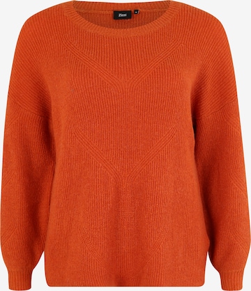 Zizzi Pullover 'Mfairy' in Rot: predná strana