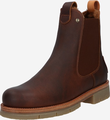PANAMA JACK Chelsea Boots 'Filipa' in Brown: front