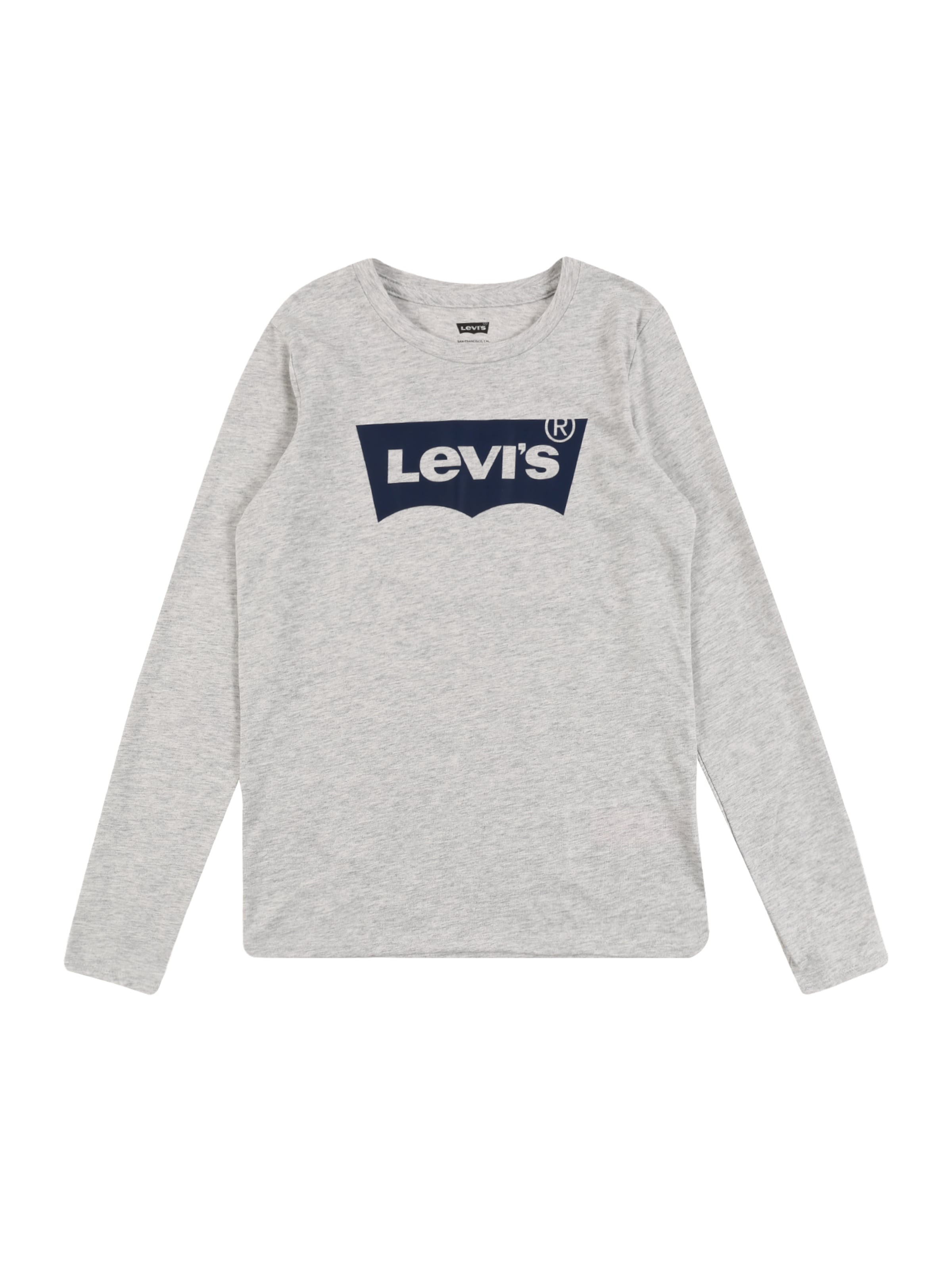 Levi's Kids Tričko 'Batwing' – šedá: přední strana