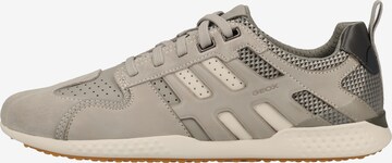 GEOX Sneaker in Grau