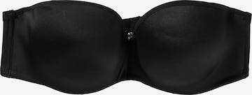 LASCANA Regular Push-Up BH in Schwarz