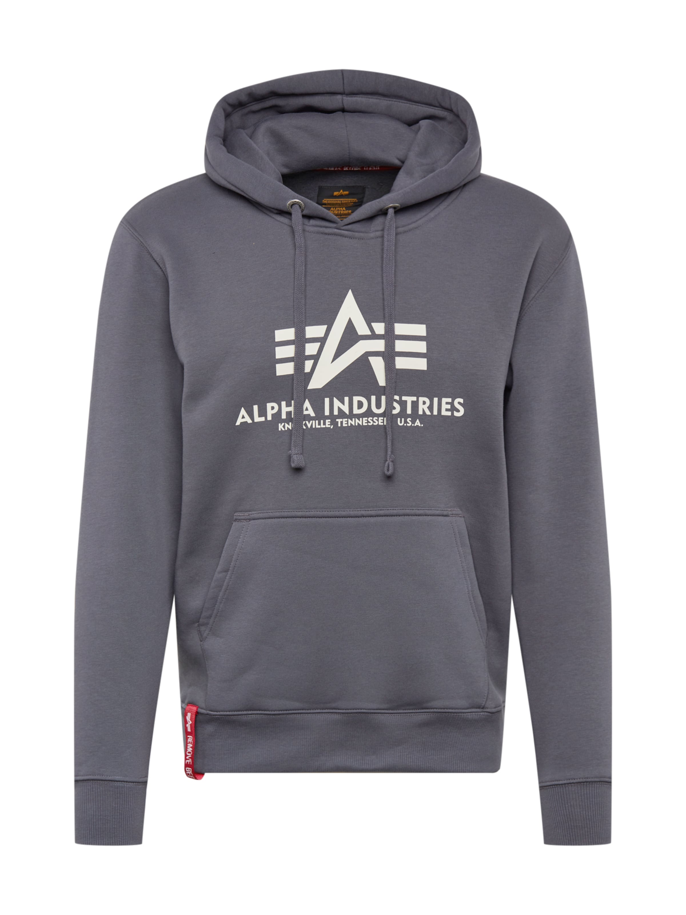 ALPHA INDUSTRIES Bluzka sportowa w kolorze szary: przód