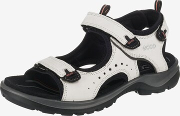 ECCO Hiking Sandals 'Offroad' in White: front