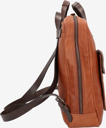 Harold's Rucksack 'Ivy Lane' in Braun