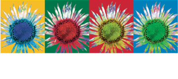 BERWIN & WOLFF Logo