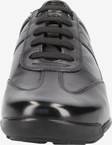 GEOX Sneakers 'Edgeware' in Black