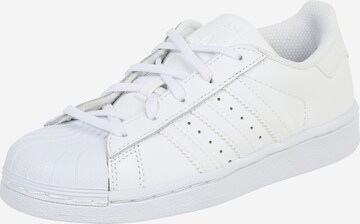 ADIDAS ORIGINALS Sneaker 'Superstar' in Weiß: predná strana