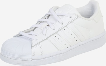 Sneaker 'Superstar' di ADIDAS ORIGINALS in bianco: frontale