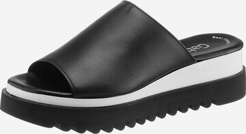 GABOR Mules in Black: front