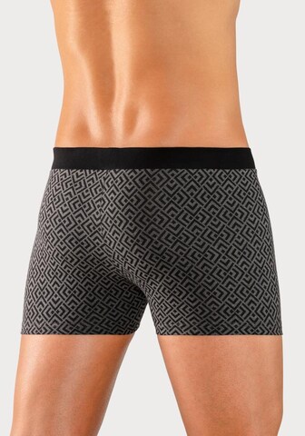 BRUNO BANANI Boxershorts in Grau