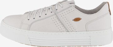 CAMEL ACTIVE Sneakers laag 'Innocence' in Beige