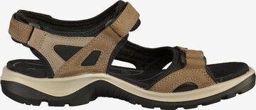 ECCO Wandelsandalen 'Offroad' in Bruin