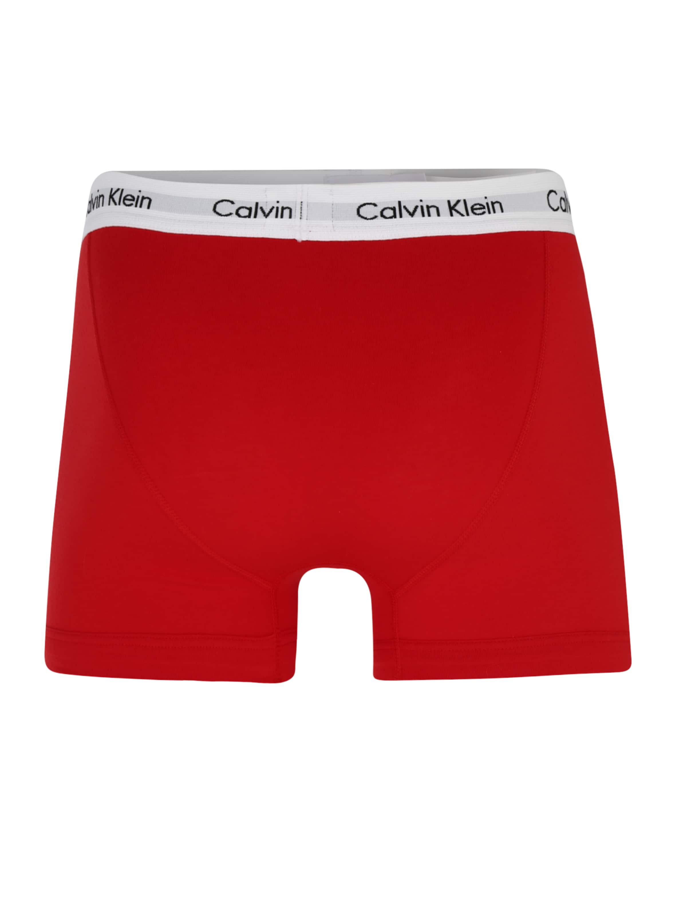 Regular Boxers Calvin Klein Underwear en mélange de couleurs : derrière
