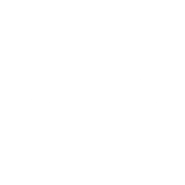 Duvetica Logo
