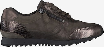 HASSIA Sneakers in Brown