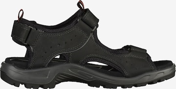 ECCO Hiking Sandals in Black