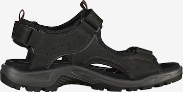 ECCO - Sandalias de trekking en negro