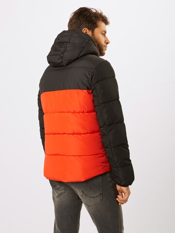 TOM TAILOR DENIM Steppjacke in Orange: Rückseite
