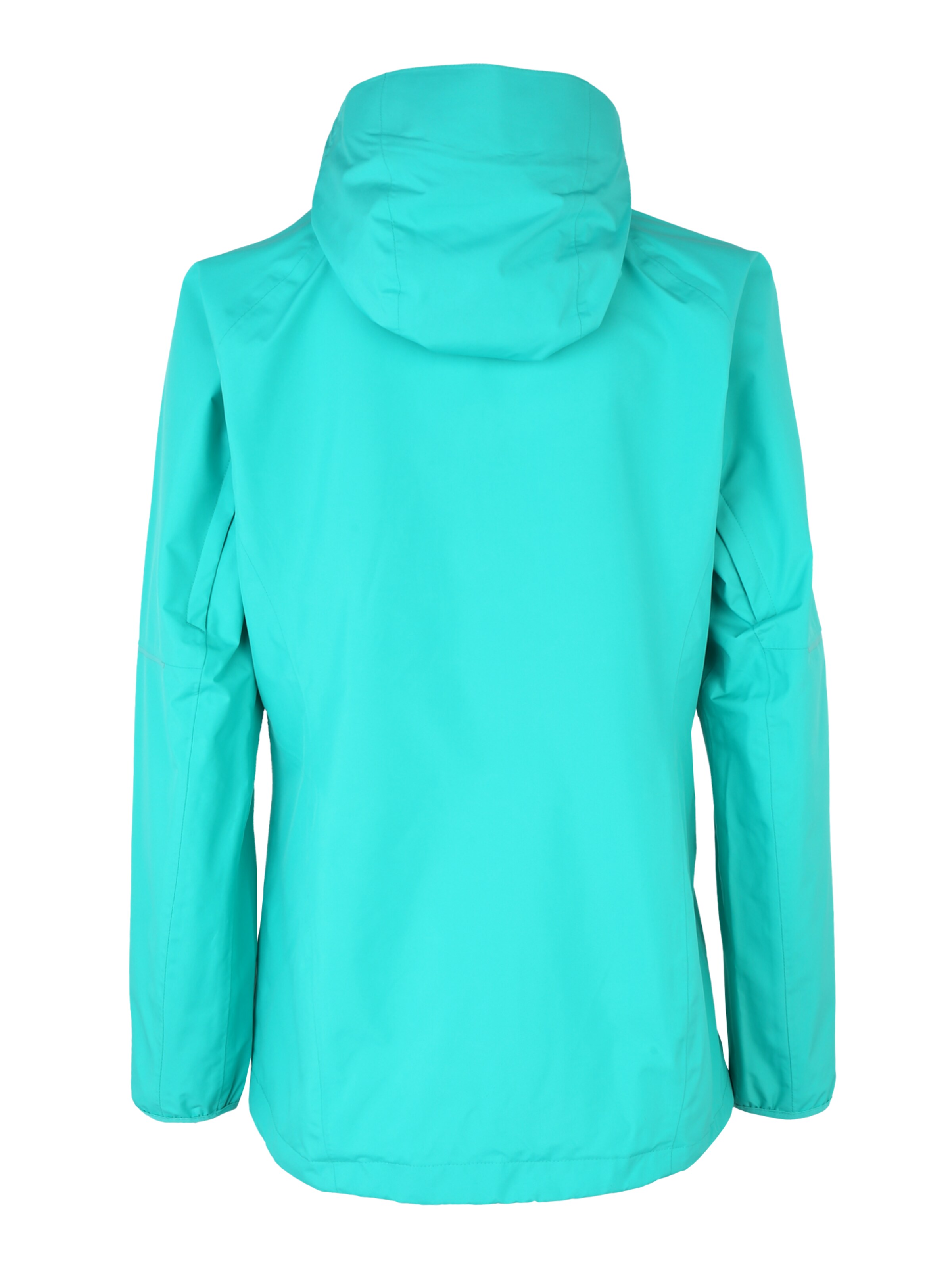 JACK WOLFSKIN Outdoor Jacket 'Sierra' in Blue: back