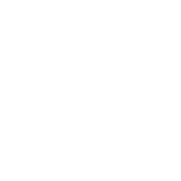 TRIANGLE Logo