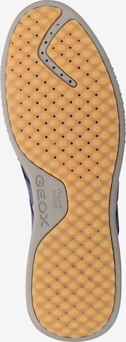 GEOX Sneaker in Blau