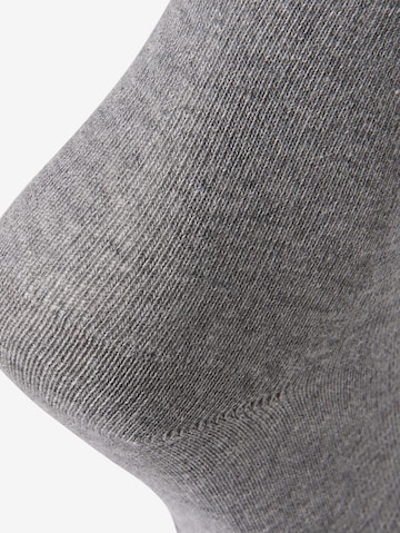 TOM TAILOR Socks in Grey