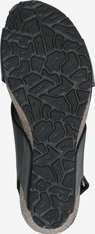 PANAMA JACK Sandals 'Valeska' in Black