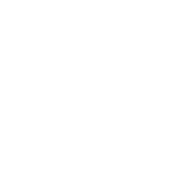 Lost Youth Logo