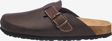 LICO Mules in Brown