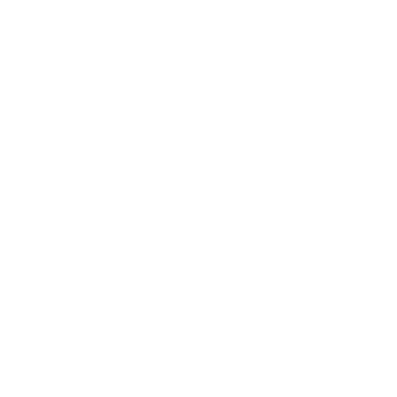 BASE LEVEL CURVY Logo