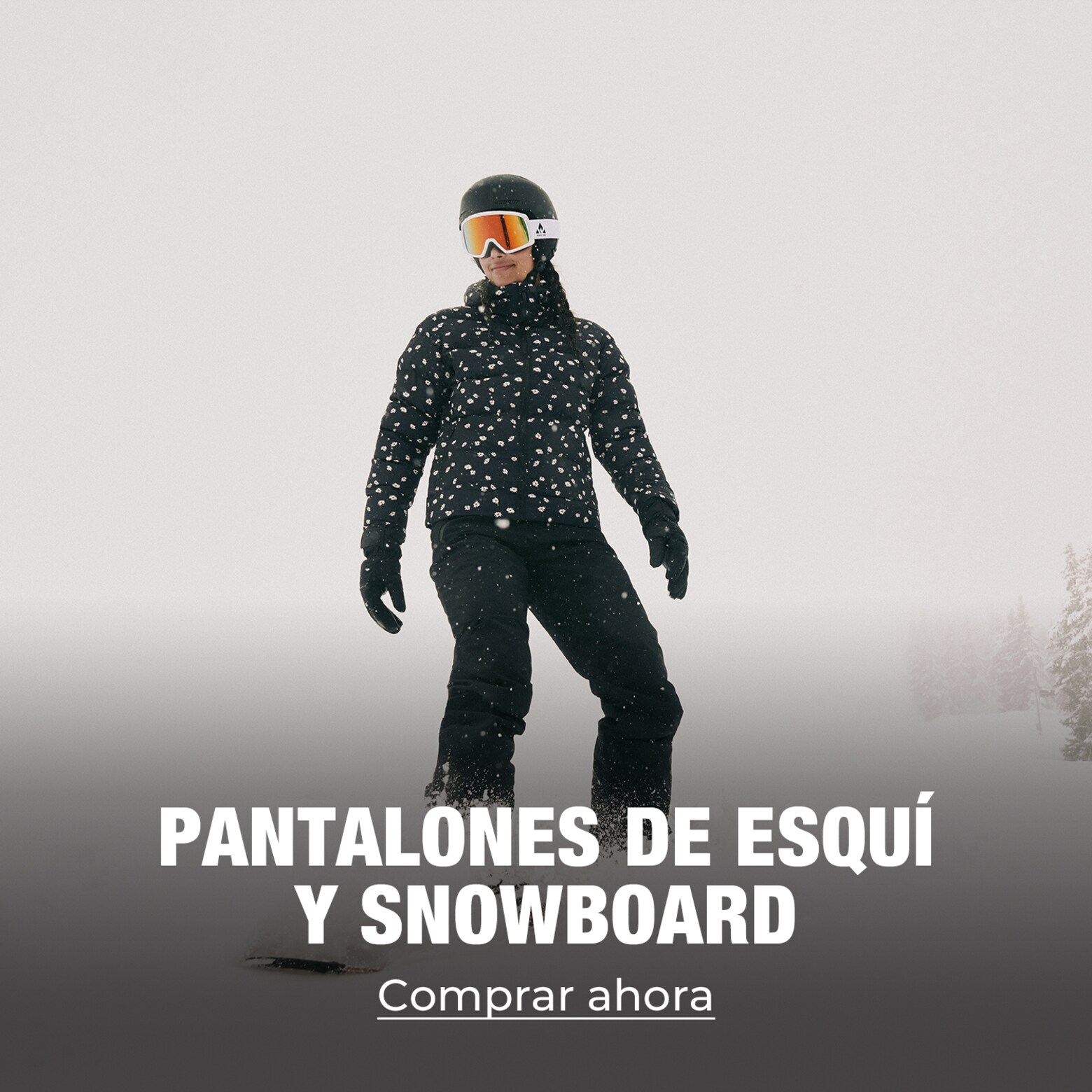 Ropa, equipamiento, accesorios y más Tus básicos de esquí y snowboard